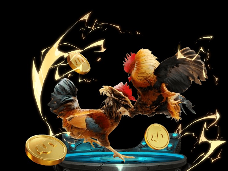 Cá cược League of Legends